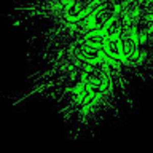 Meet your Posher, Seth